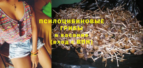 МДПВ Дмитров