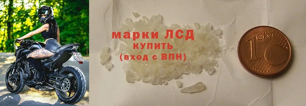 гидра Ельня