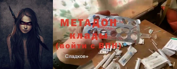 гидра Ельня