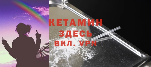 гидра Ельня