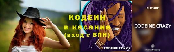 гидра Ельня