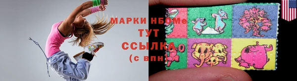 гидра Ельня