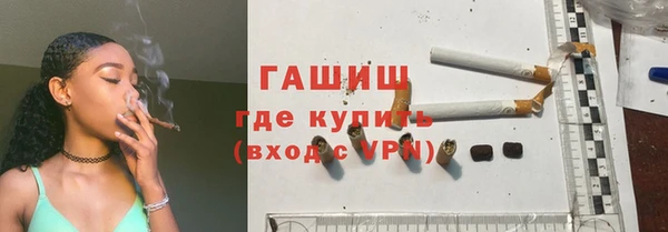 гидра Ельня