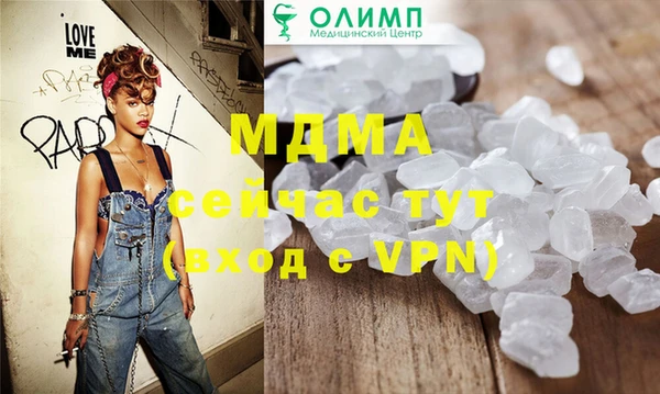 гидра Ельня