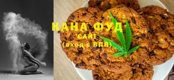 гидра Ельня