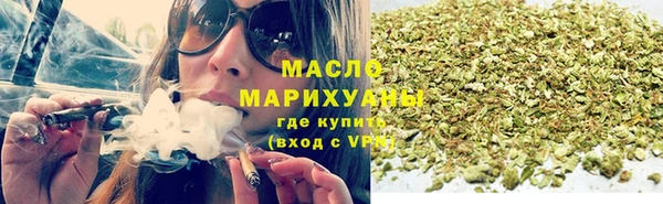 гидра Ельня