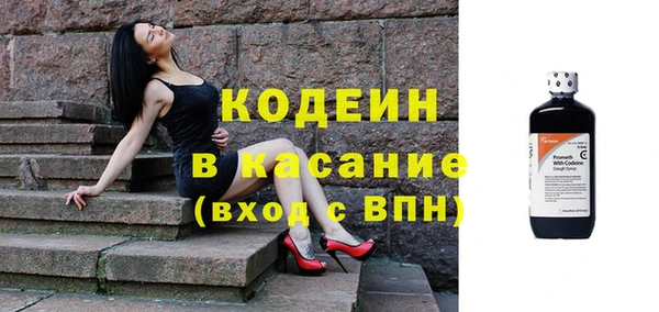 гидра Ельня