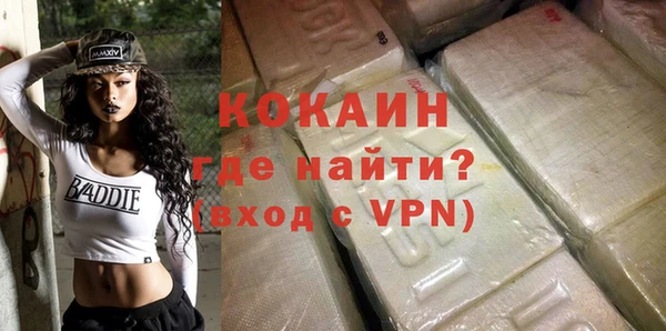 гидра Ельня