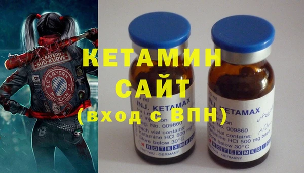 гидра Ельня