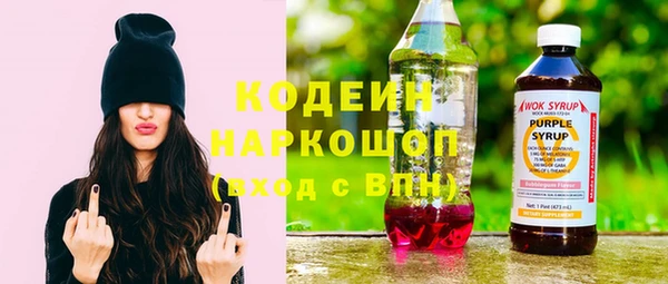 гидра Ельня