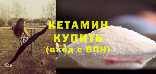 гидра Ельня
