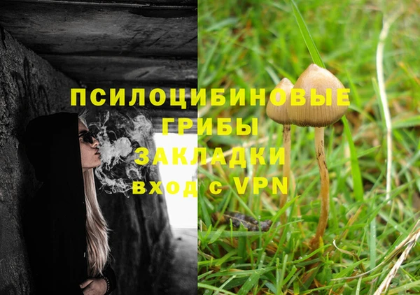 мескалин Елизово