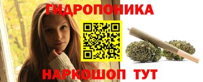 стаф Аргун