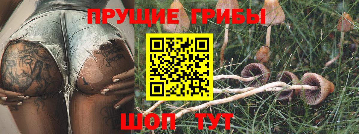 Ачинск  даркнет сайт  Вход с VPN  Галлюциногенные грибы ЛСД 